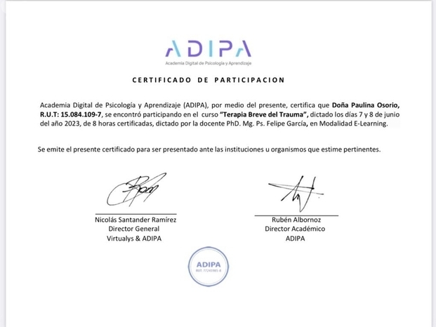 Certificado Terapia Breve del Trauma